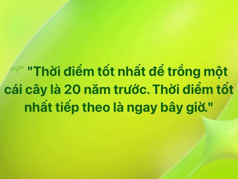 Thời điểm tốt nhất để trồng một cái cây là 20 năm trước. Thời điểm tốt nhất tiếp theo là ngay bây giờ